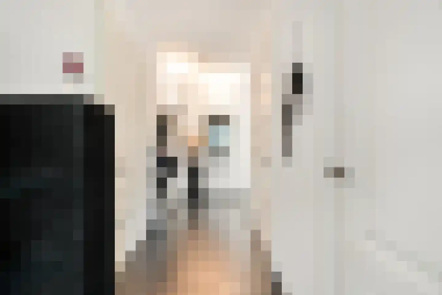 Toermalijn 23 Rhoon thumbnail 13