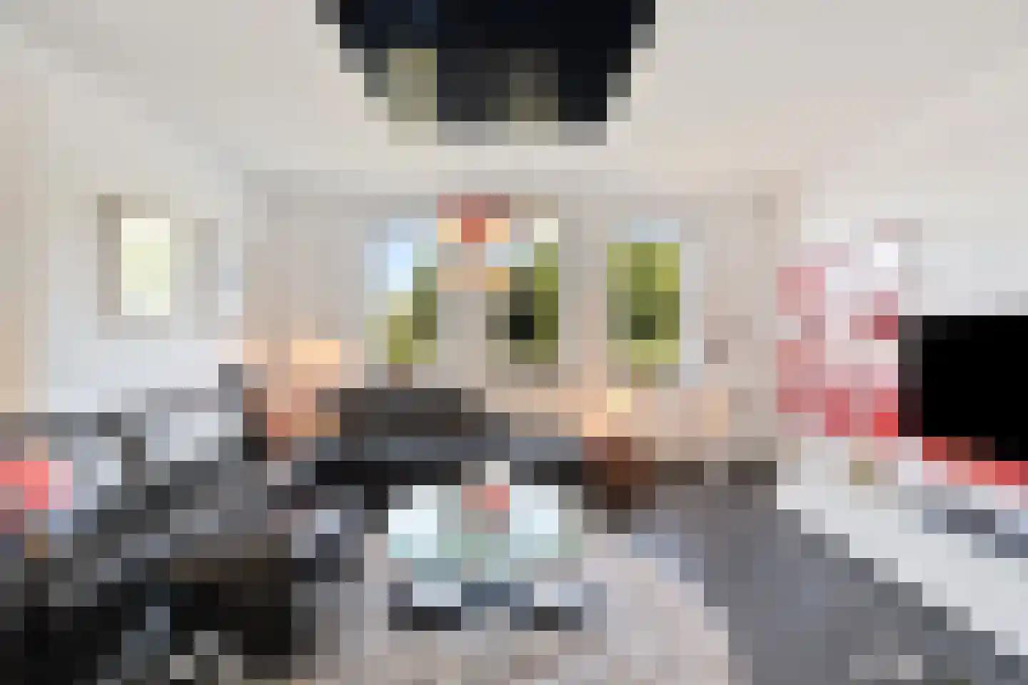 Toermalijn 23 Rhoon thumbnail 15