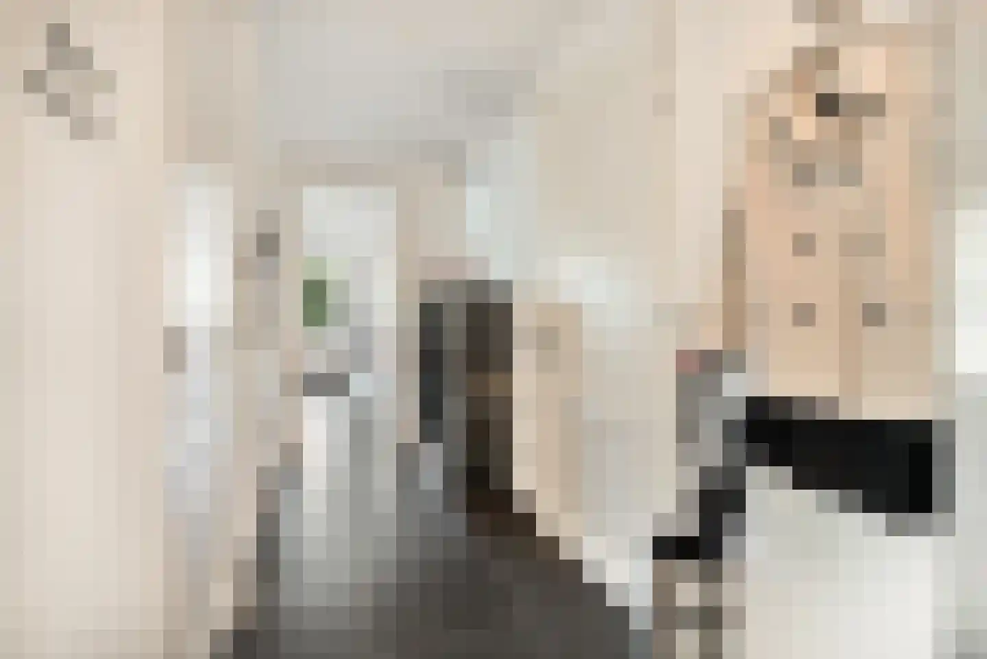 Toermalijn 23 Rhoon thumbnail 21