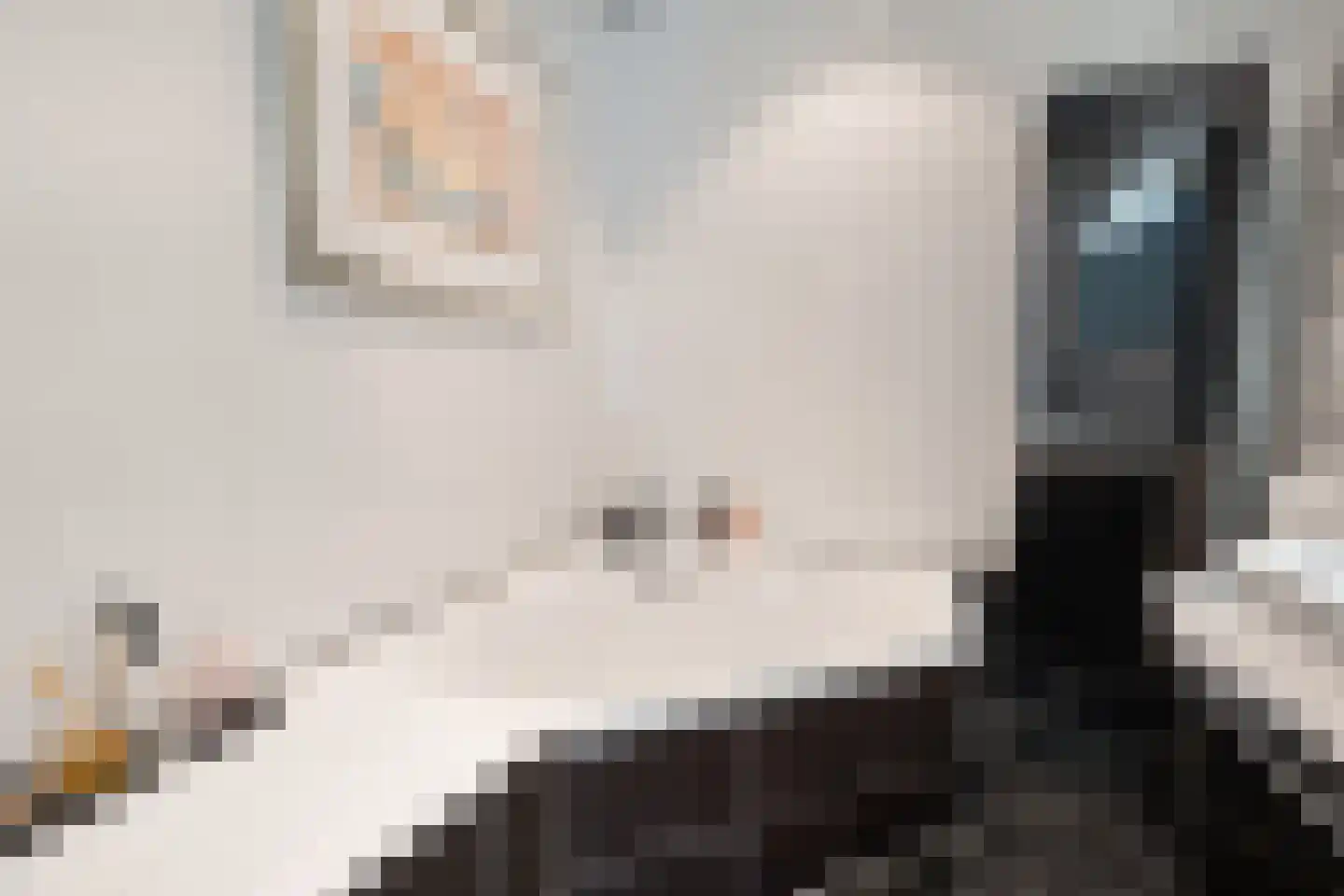 Toermalijn 23 Rhoon thumbnail 26
