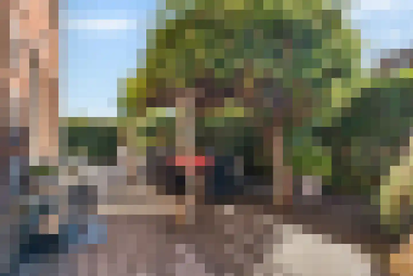 Toermalijn 23 Rhoon thumbnail 29