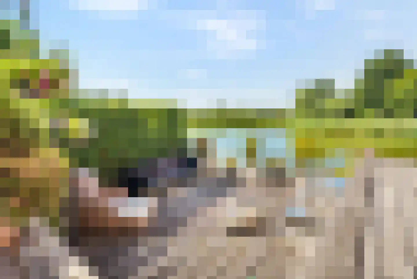 Toermalijn 23 Rhoon thumbnail 34