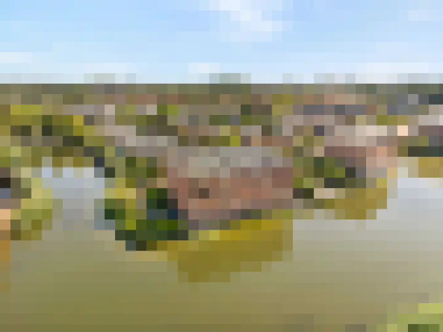 Toermalijn 23 Rhoon thumbnail 43