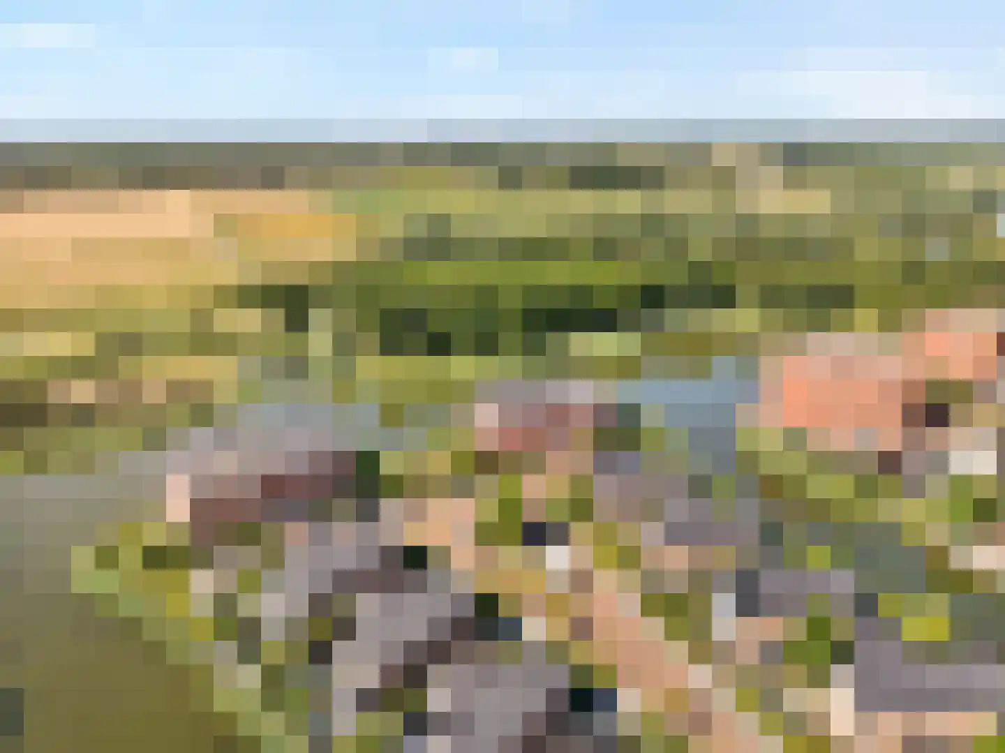 Toermalijn 23 Rhoon thumbnail 8