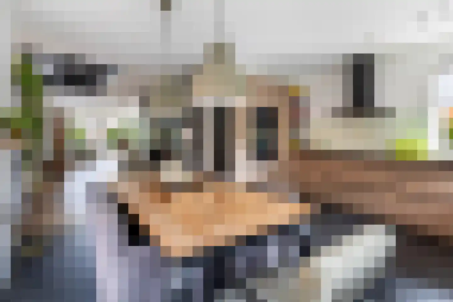 Toermalijn 37 Rhoon thumbnail 18