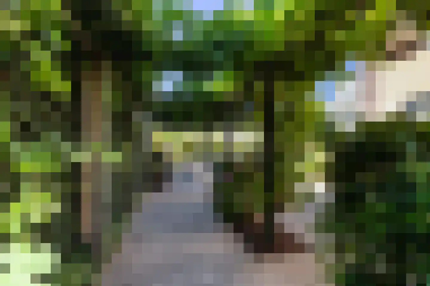 Toermalijn 37 Rhoon thumbnail 32