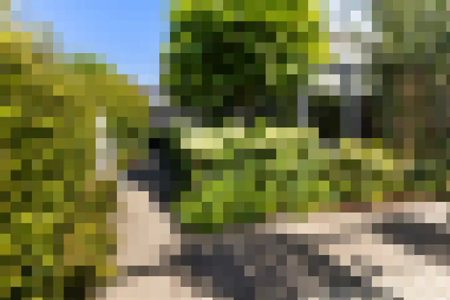 Toermalijn 37 Rhoon thumbnail 36