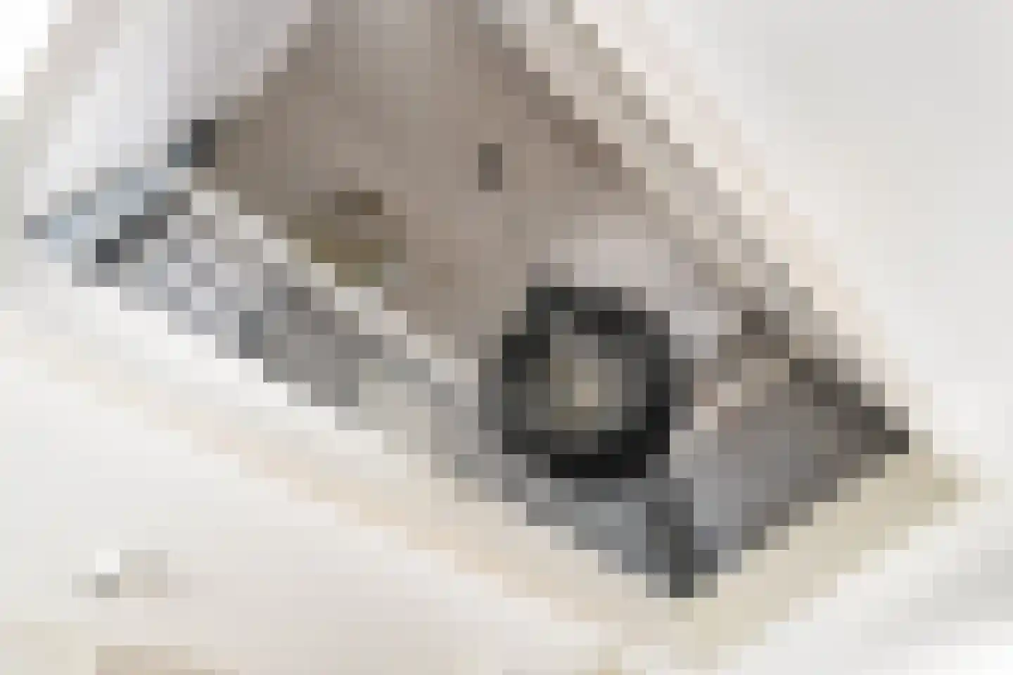 Toermalijn 37 Rhoon thumbnail 37