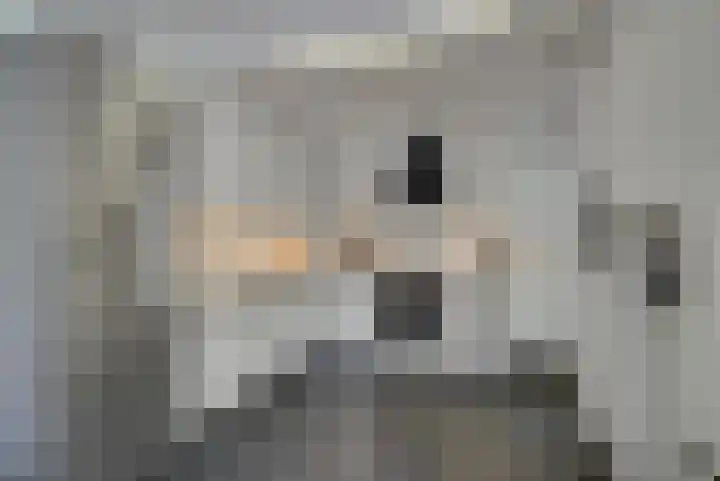 Toermalijn 6 Heerhugowaard thumbnail 15