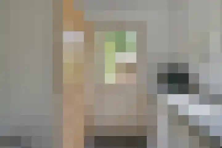 Toermalijn 6 Heerhugowaard thumbnail 19