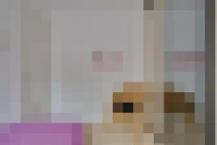 Toermalijn 6 Heerhugowaard thumbnail 35
