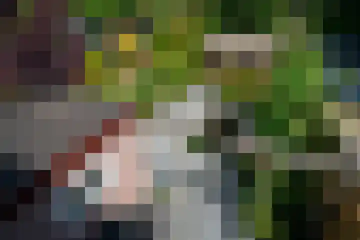 Toermalijn 6 Heerhugowaard thumbnail 42