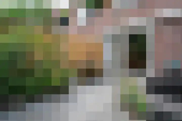Toermalijn 6 Heerhugowaard thumbnail 43