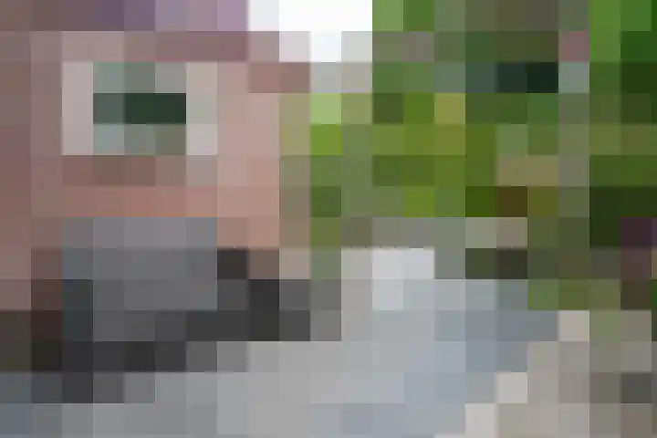 Toermalijn 6 Heerhugowaard thumbnail 44