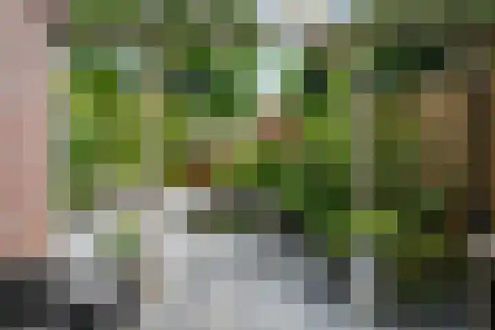 Toermalijn 6 Heerhugowaard thumbnail 45