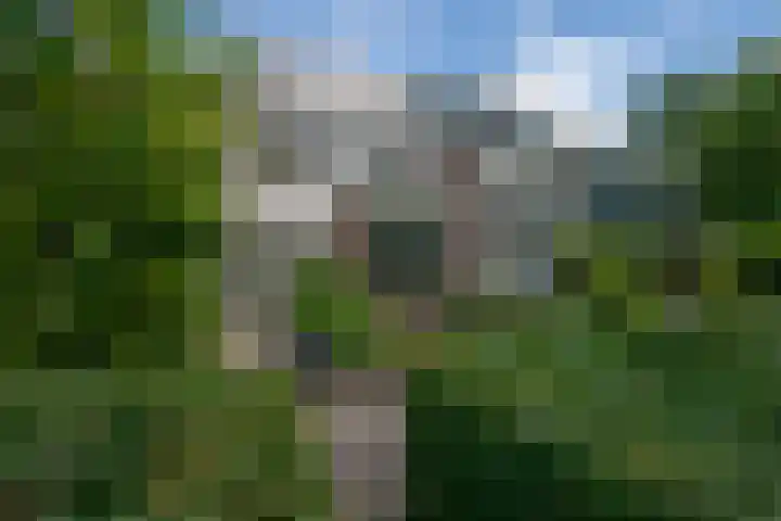 Toermalijn 6 Heerhugowaard thumbnail 56