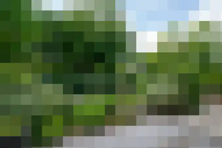 Toermalijn 6 Heerhugowaard thumbnail 57