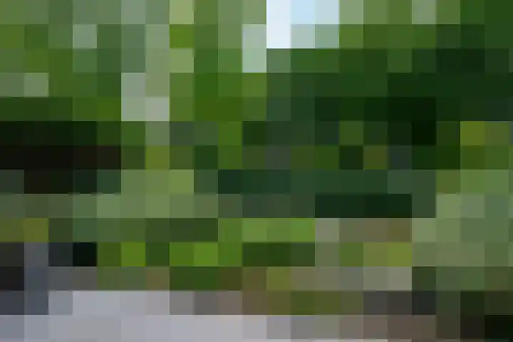 Toermalijn 6 Heerhugowaard thumbnail 58