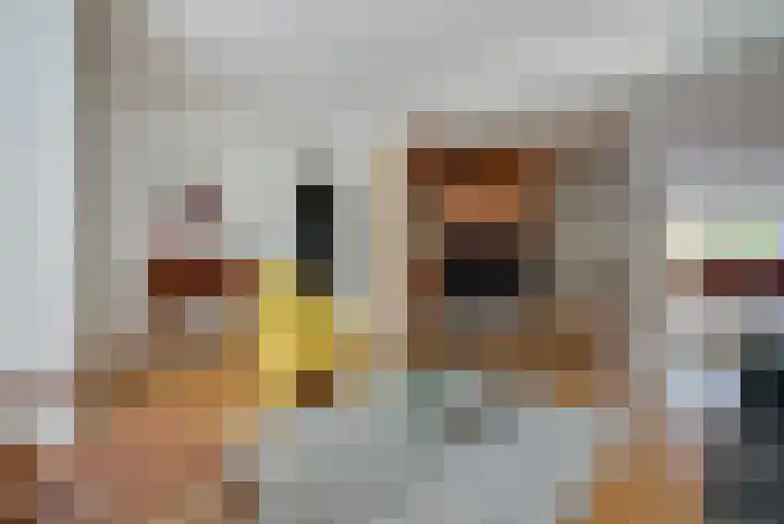 Toermalijn 6 Heerhugowaard thumbnail 8