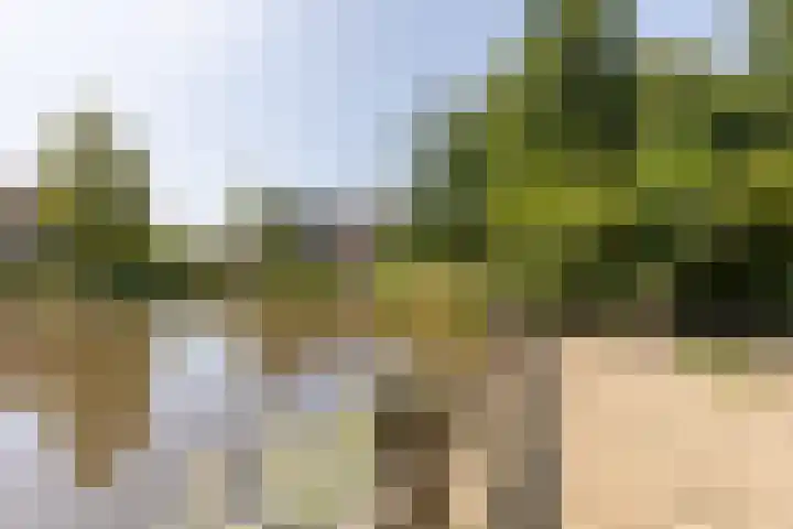 Toermalijn 7 Mijdrecht thumbnail 24