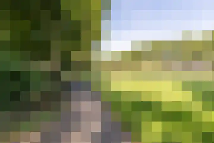 Toermalijn 7 Mijdrecht thumbnail 25