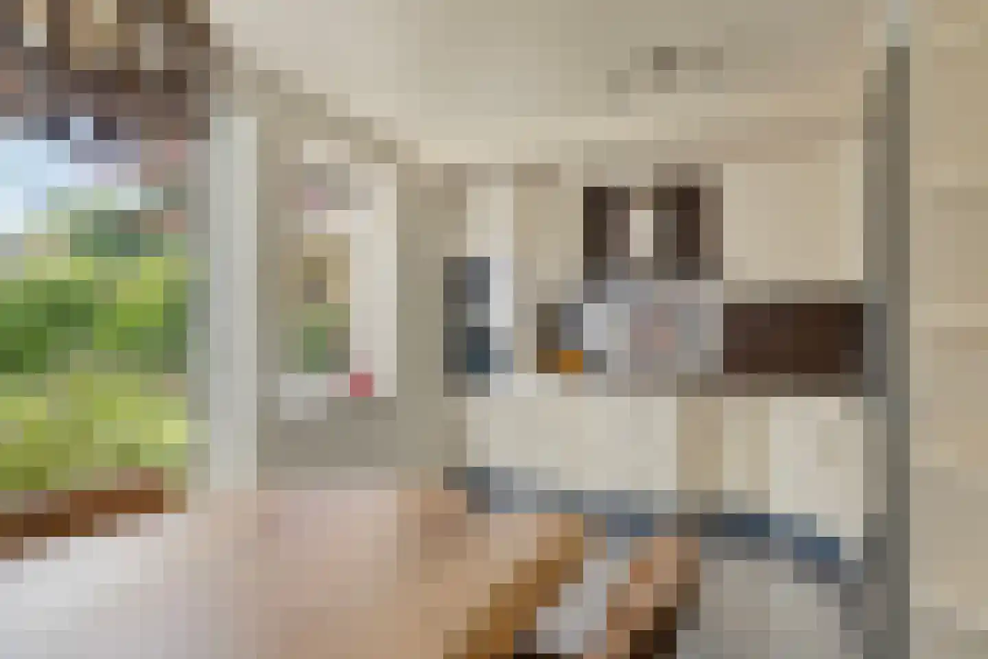 Toermalijn 8 Heerhugowaard thumbnail 21