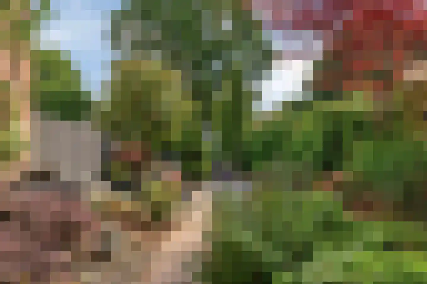 Toermalijn 8 Heerhugowaard thumbnail 23