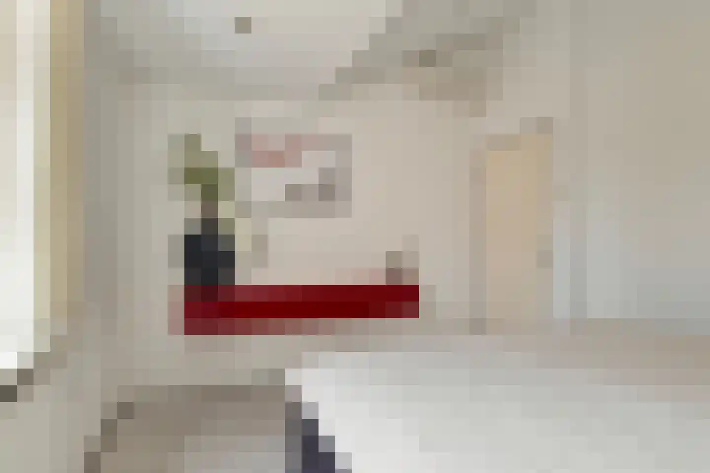 Toermalijn 8 Heerhugowaard thumbnail 37