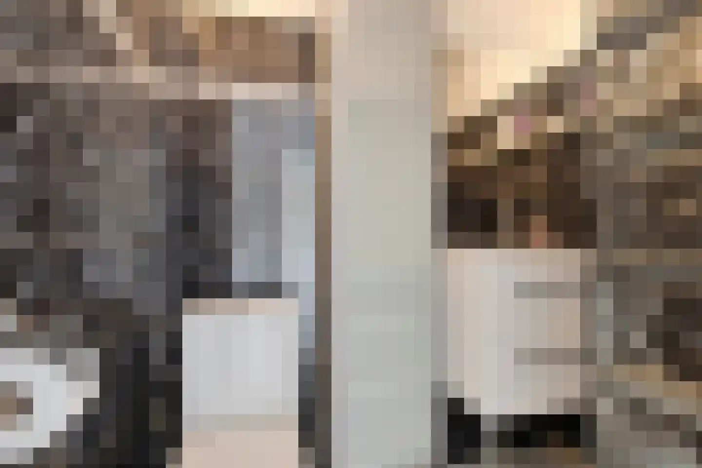 Toermalijn 8 Heerhugowaard thumbnail 38