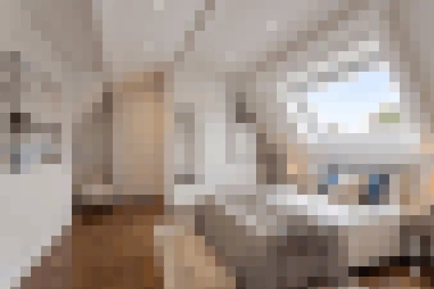 Toermalijn 8 Heerhugowaard thumbnail 46