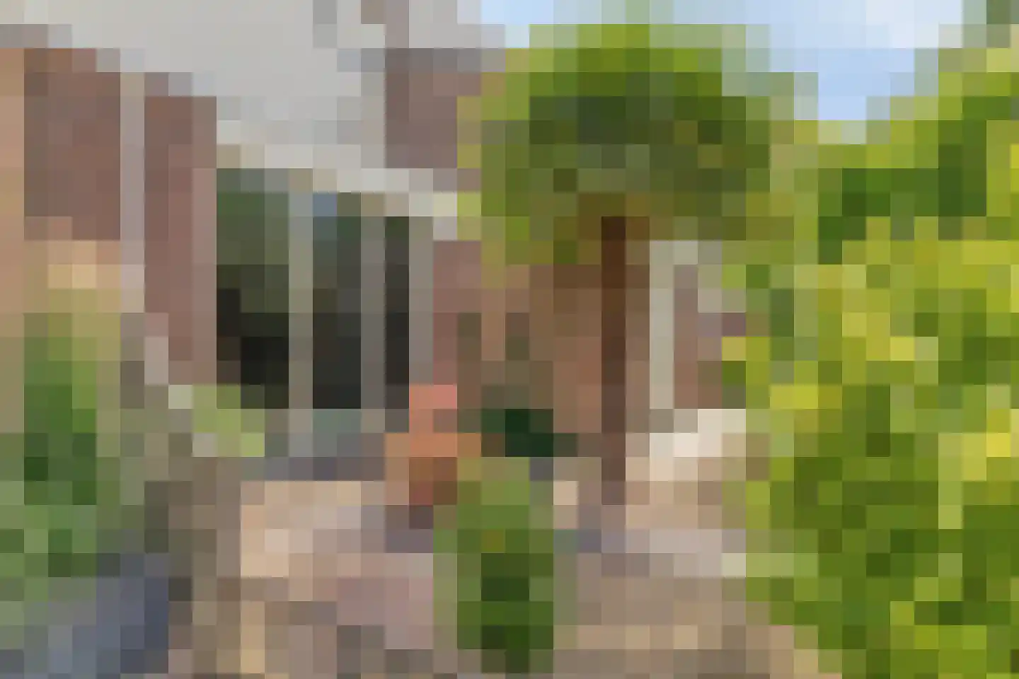 Toermalijn 8 Heerhugowaard thumbnail 6