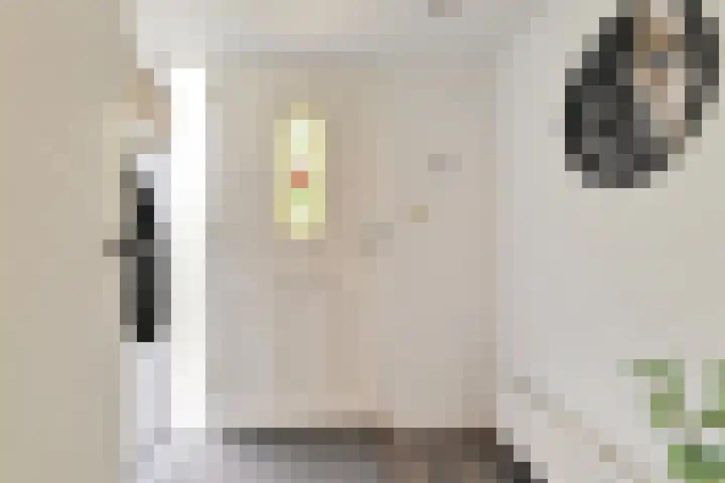 Toermalijn 8 Heerhugowaard thumbnail 8