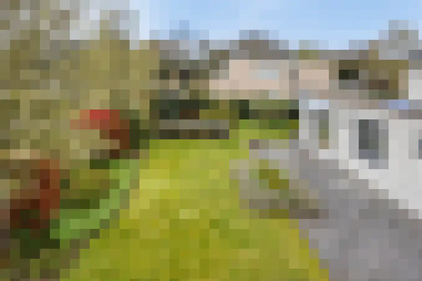 Toermalijndijk 4 Roosendaal thumbnail 53