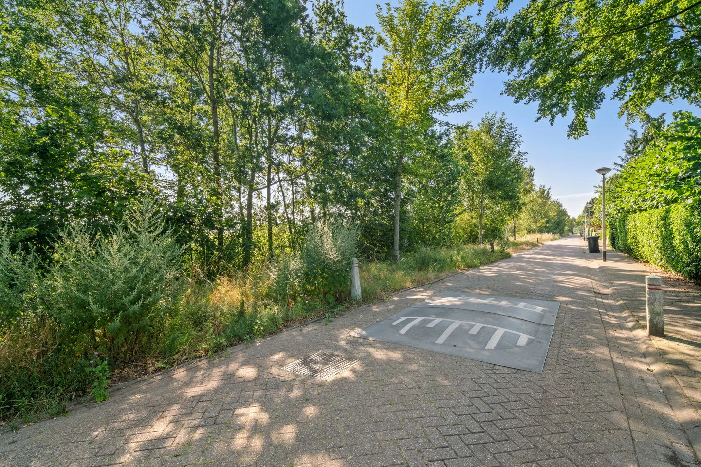 Toermalijndijk 60 Roosendaal thumbnail 63