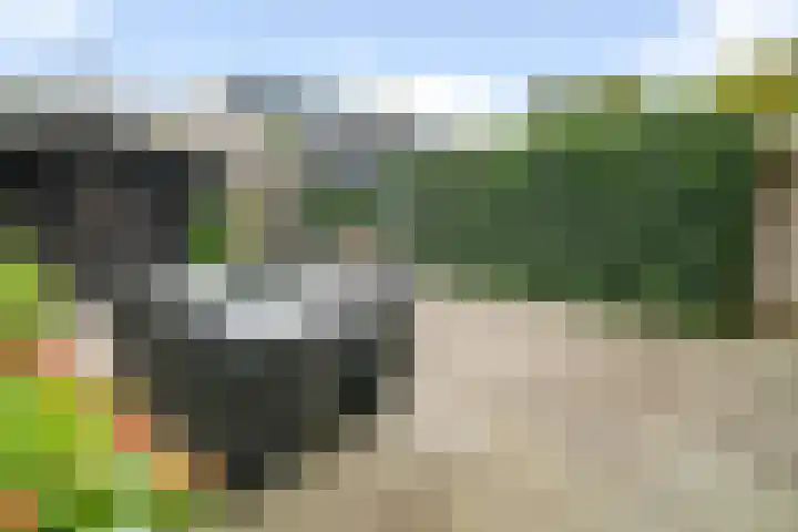 Toermalijndijk 9 Roosendaal thumbnail 32