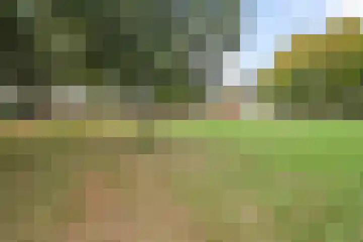 Toermalijndijk 9 Roosendaal thumbnail 37