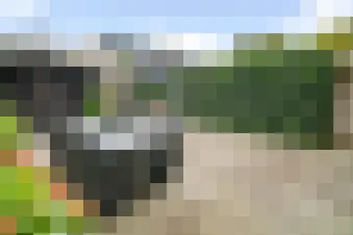Toermalijndijk 9 Roosendaal thumbnail 5