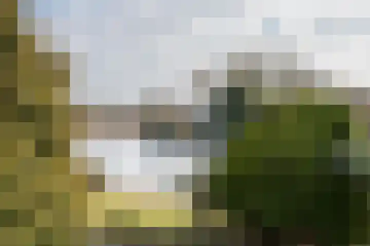 Toermalijndreef 124 Emmen thumbnail 38