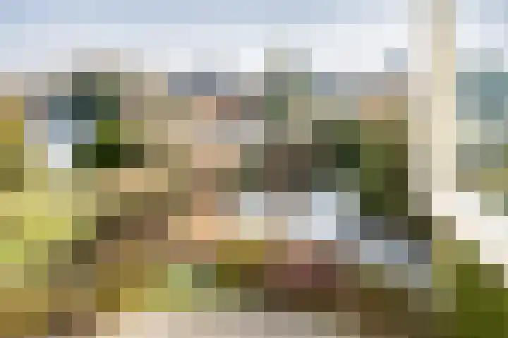 Toermalijndreef 124 Emmen thumbnail 39