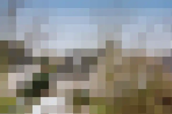 Toermalijndreef 124 Emmen thumbnail 46