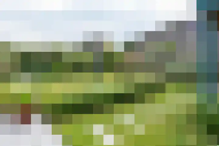 Toermalijndreef 15 Emmen thumbnail 38