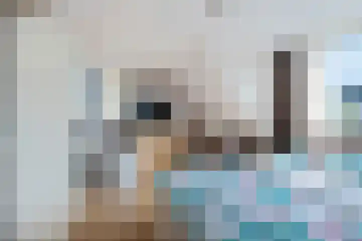 Toermalijndreef 24 Emmen thumbnail 18