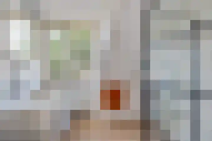 Toermalijndreef 24 Emmen thumbnail 21