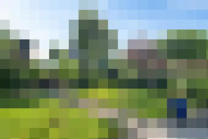 Toermalijndreef 24 Emmen thumbnail 31