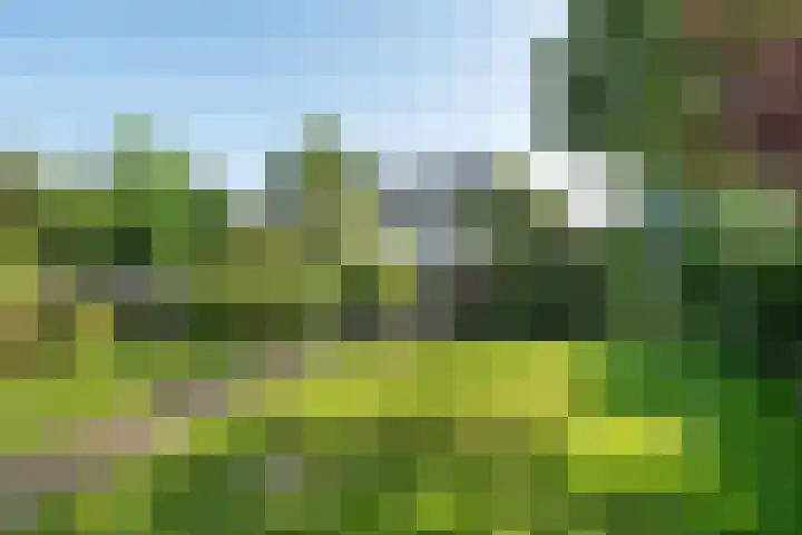 Toermalijndreef 24 Emmen thumbnail 32