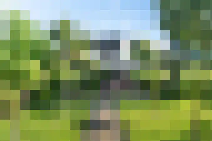 Toermalijndreef 24 Emmen thumbnail 33