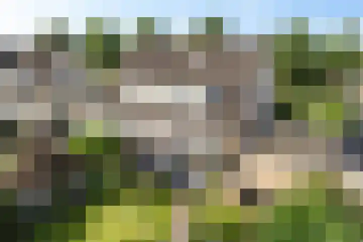Toermalijndreef 24 Emmen thumbnail 35