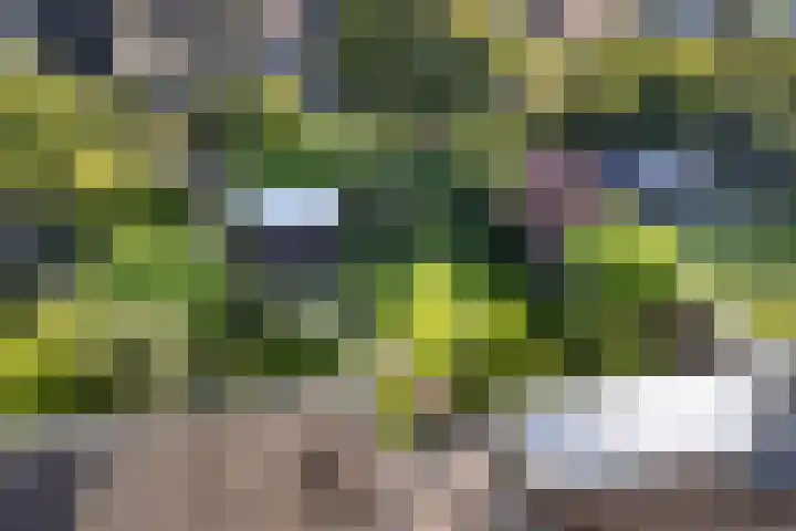 Toermalijndreef 24 Emmen thumbnail 36