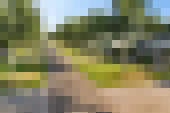Toermalijndreef 24 Emmen thumbnail 40