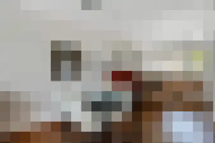 Toermalijndreef 24 Emmen thumbnail 9